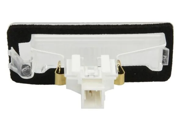 BLIC 5402-07-0316100P Licence Plate Light