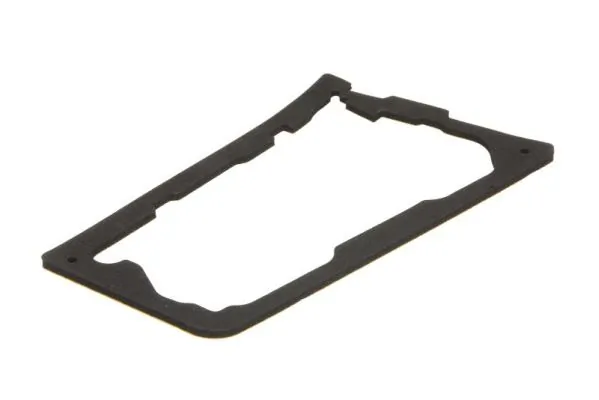 BLIC 5402-25-0062502P Gasket, tail light assembly
