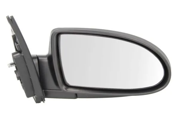 Exterior Mirror 5402-20-2001360P
