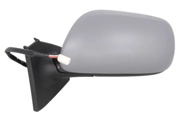 Exterior Mirror 5402-19-2002545P