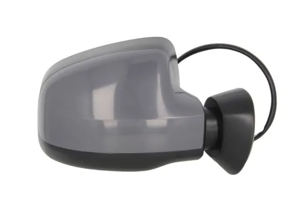 BLIC 5402-67-2001134P Exterior Mirror