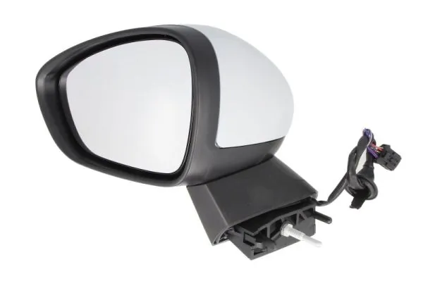 Exterior Mirror 5402-21-042361P