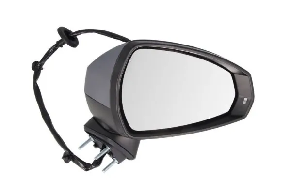 Exterior Mirror 5402-25-2001028P