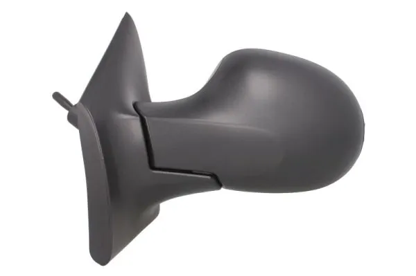 Exterior Mirror 5402-09-2002219P