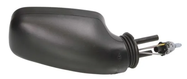 BLIC 5402-04-1115598P Exterior Mirror