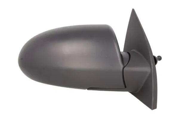 BLIC 5402-20-2001356P Exterior Mirror