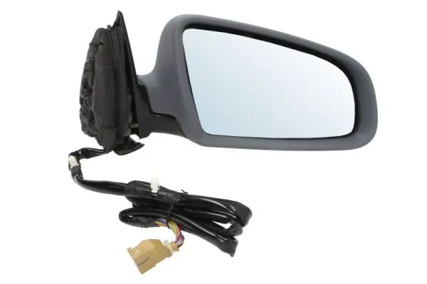 Exterior Mirror 5402-04-1119525P