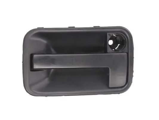 Exterior Door Handle 6010-08-002410P