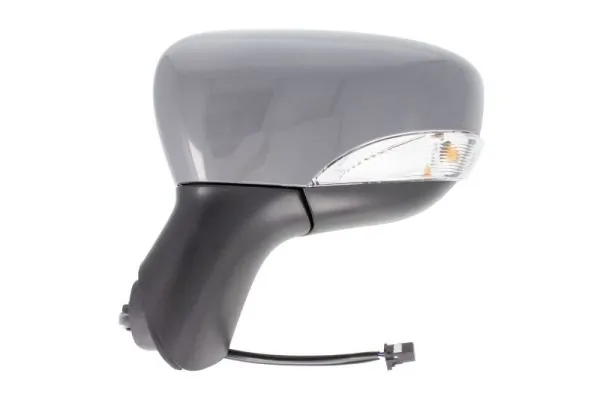 BLIC 5402-09-2002103P Exterior Mirror