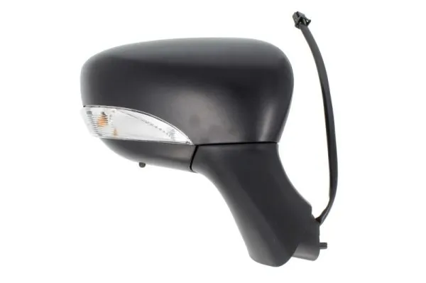 Exterior Mirror 5402-09-2002126P