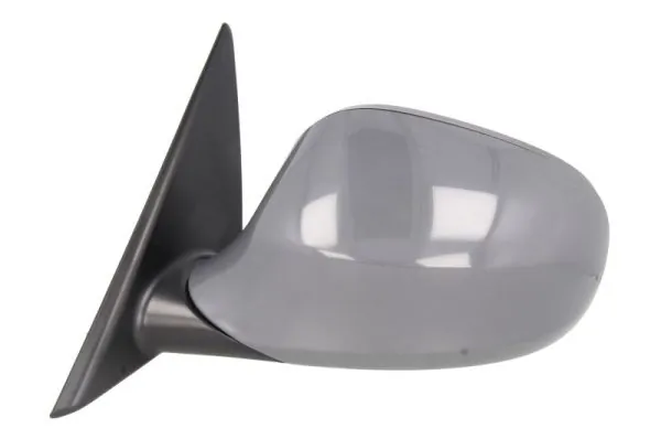 BLIC 5402-05-2001049P Exterior Mirror