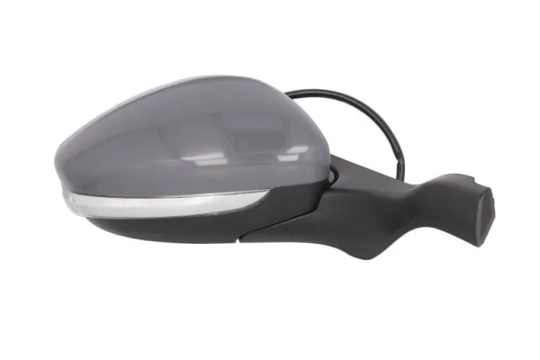 Exterior Mirror 5402-08-2002056P