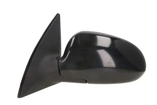 BLIC 5402-20-2002841P Exterior Mirror