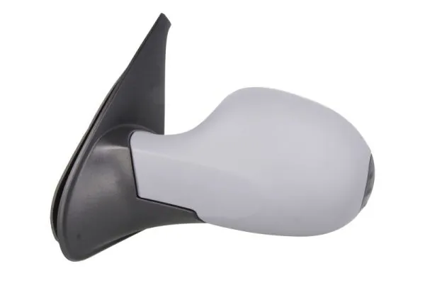 Exterior Mirror 5402-09-2002213P