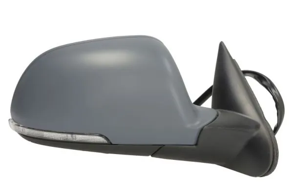 BLIC 5402-43-1312311P Exterior Mirror