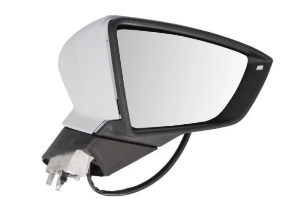 Exterior Mirror 5402-10-2002306P