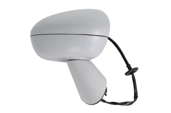 Exterior Mirror 5402-04-2002002P