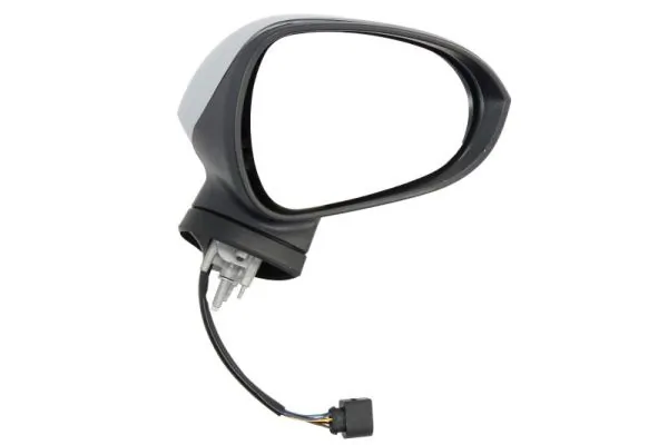 Exterior Mirror 5402-10-2002298P