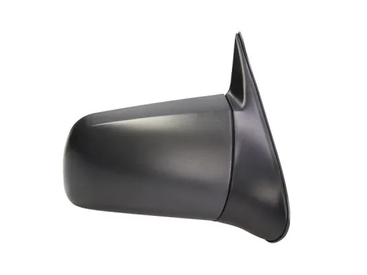 BLIC 5402-04-1121239P Exterior Mirror