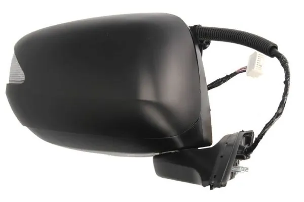BLIC 5402-12-2001354P Exterior Mirror