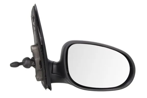BLIC 5402-03-2001206P Exterior Mirror