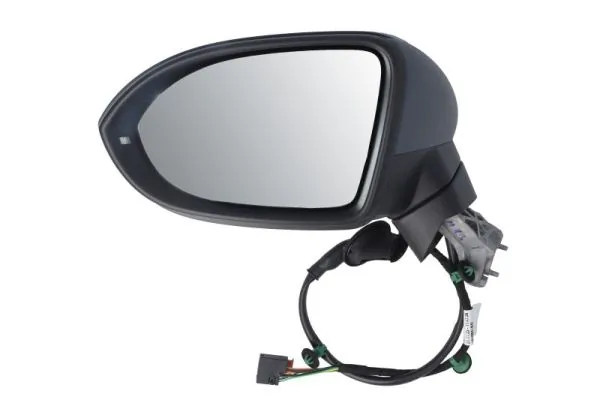 Exterior Mirror 5402-01-2002679P