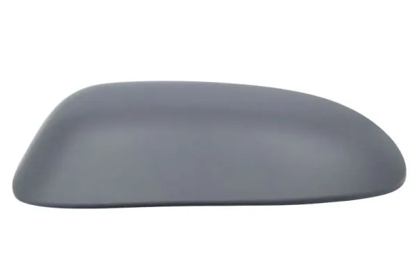Selubung, kaca spion luar 6103-01-1321338P