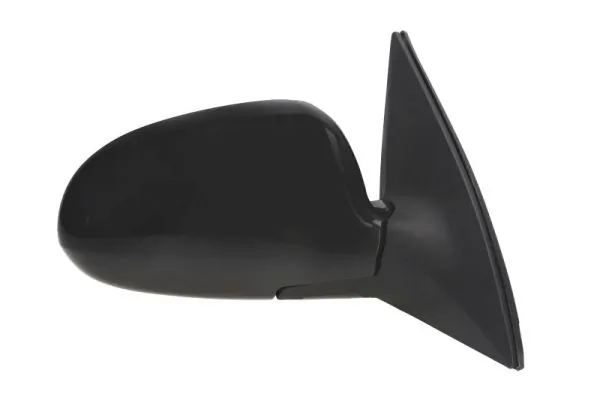 BLIC 5402-20-2002842P Exterior Mirror