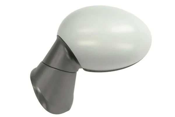 BLIC 5402-05-0884312P Exterior Mirror
