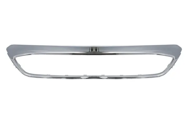 Trim/Protection Strip, radiator grille 6502-07-2579981P