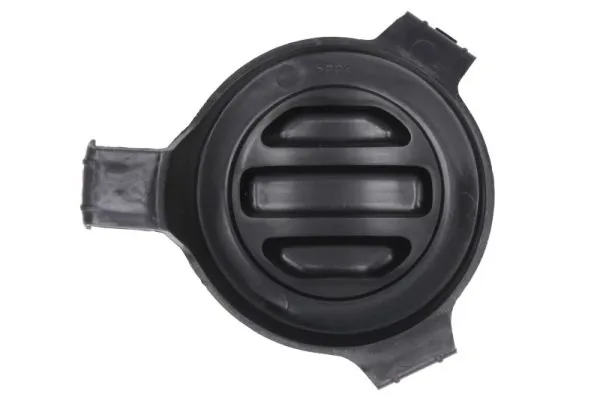 BLIC 6502-07-2098915P Ventilation Grilles, bumper