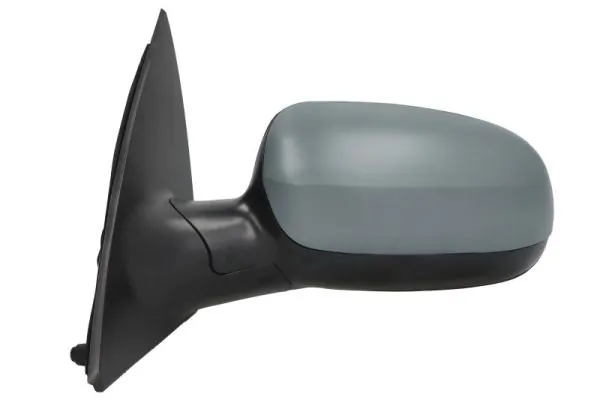 Exterior Mirror 5402-04-1139229P