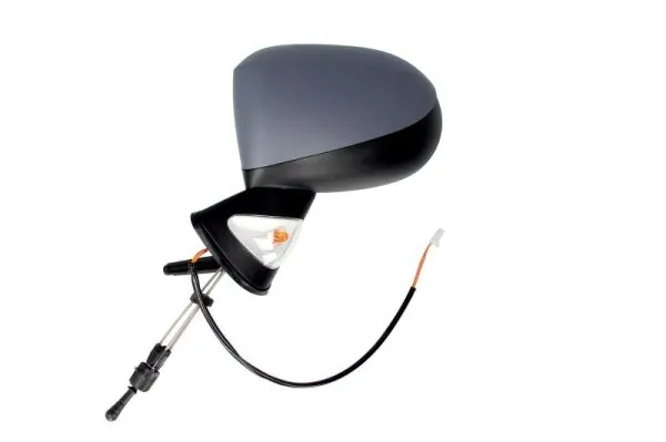 Exterior Mirror 5402-09-2002199P