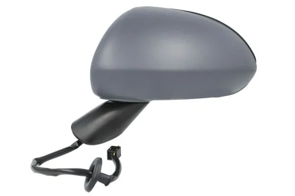 Exterior Mirror 5402-04-1121226P