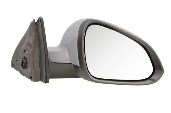 Exterior Mirror 5402-04-1119221P