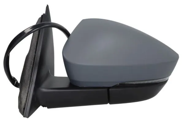 BLIC 5402-43-1925316P Exterior Mirror