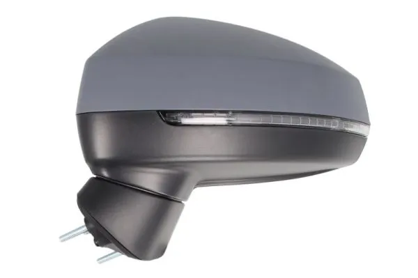 Exterior Mirror 5402-25-2001029P