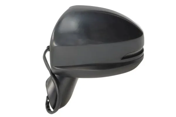 BLIC 5402-12-0499312P Exterior Mirror