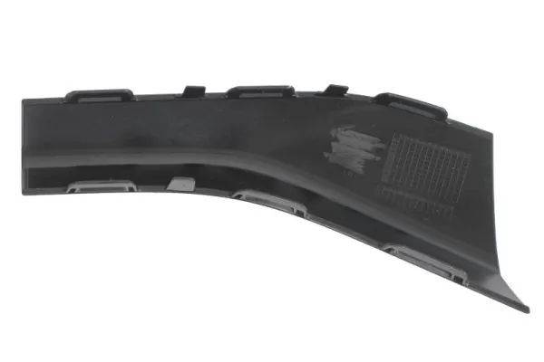 BLIC 6502-07-0048979BP Trim/Protection Strip, bumper