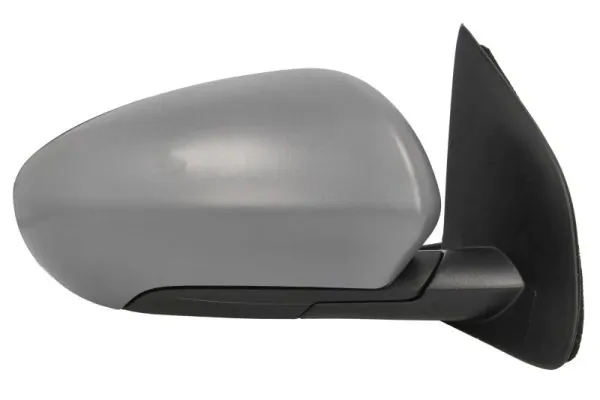 Exterior Mirror 5402-16-1018311P