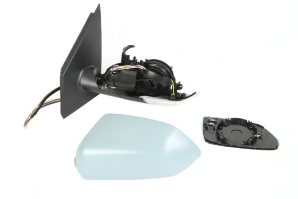 Exterior Mirror 5402-04-1113111P