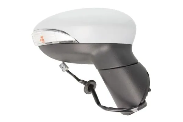 Exterior Mirror 5402-03-2001180P