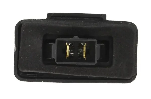 BLIC 5402-017-41-905 Licence Plate Light