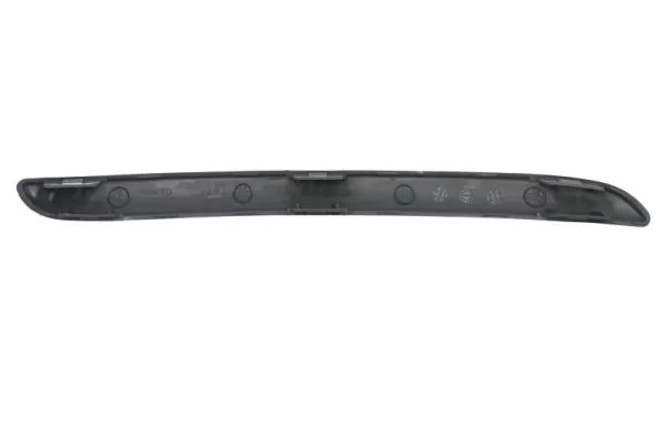 BLIC 5513-00-1608921Q Trim/Protection Strip, bumper