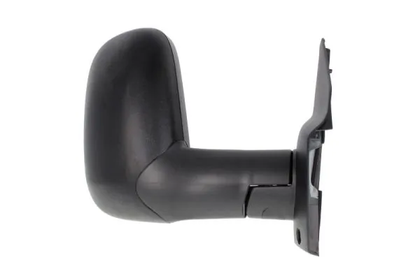 BLIC 5402-03-2001318P Exterior Mirror