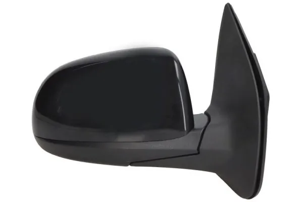 BLIC 5402-20-2001402P Exterior Mirror