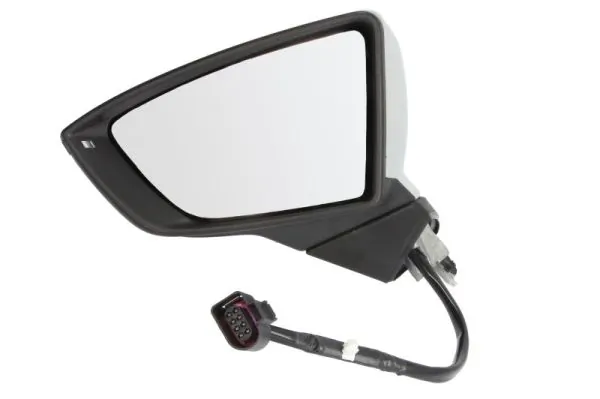Exterior Mirror 5402-10-2002305P