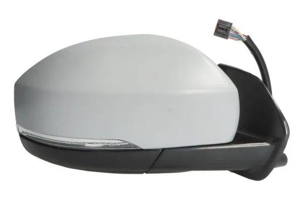 BLIC 5402-57-0697315P Exterior Mirror