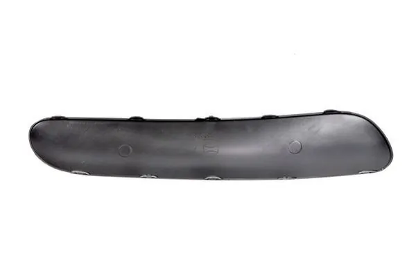 BLIC 6502-07-0519923P Trim/Protection Strip, bumper