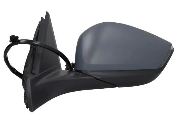 BLIC 5402-08-2543314P Exterior Mirror